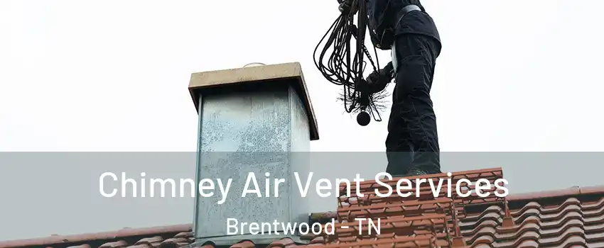  Chimney Air Vent Services Brentwood - TN