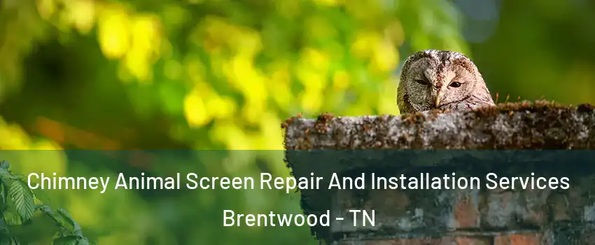  Chimney Animal Screen Repair And Installation Services Brentwood - TN