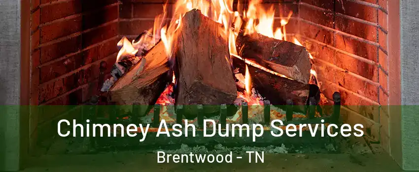  Chimney Ash Dump Services Brentwood - TN