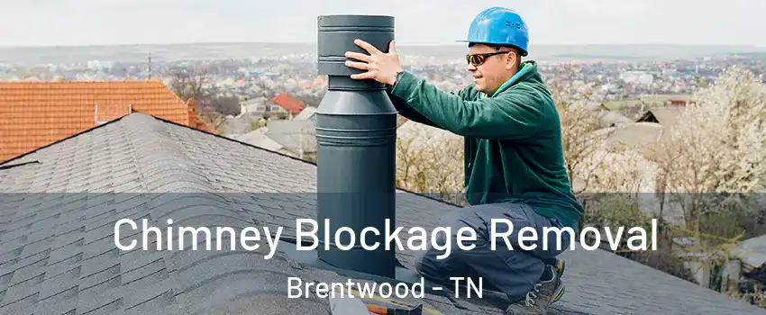  Chimney Blockage Removal Brentwood - TN