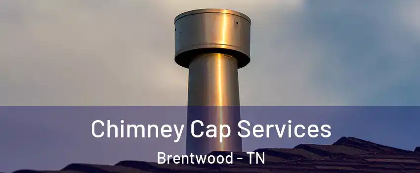 Chimney Cap Services Brentwood - TN
