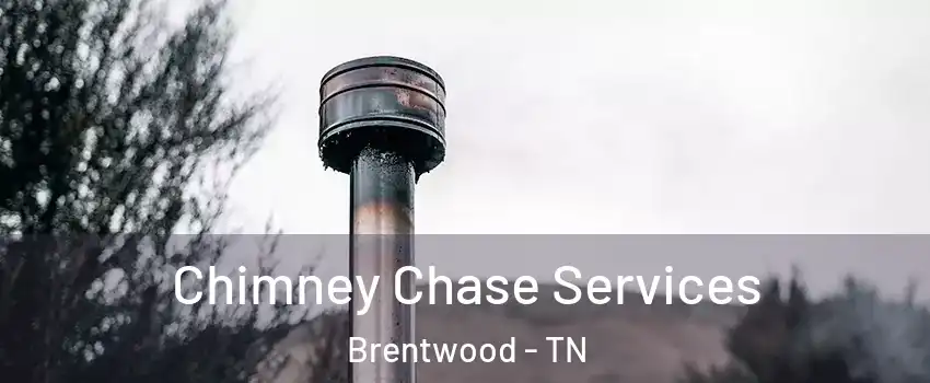  Chimney Chase Services Brentwood - TN