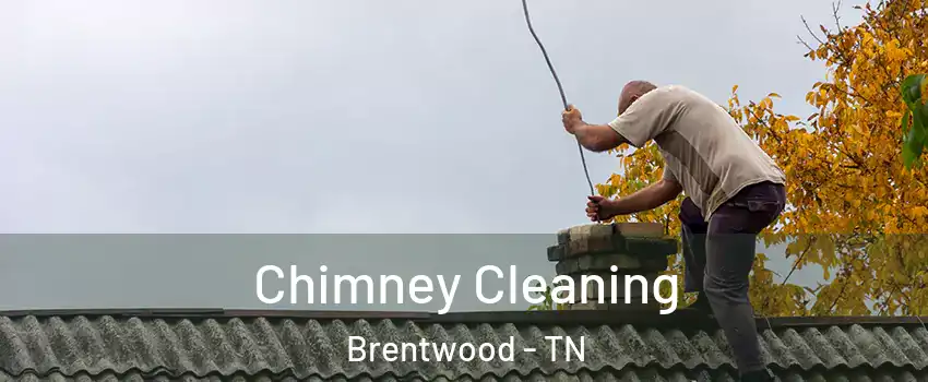  Chimney Cleaning Brentwood - TN