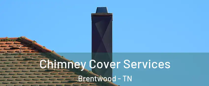  Chimney Cover Services Brentwood - TN