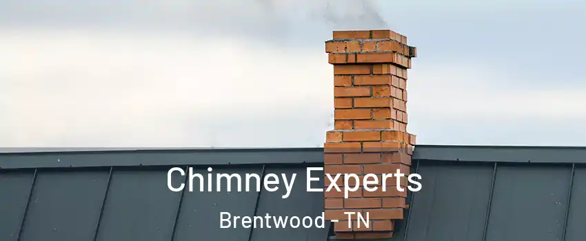 Chimney Experts Brentwood - TN