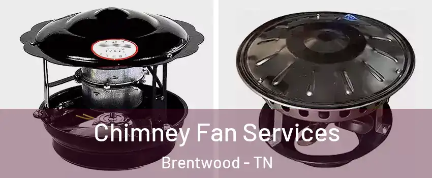  Chimney Fan Services Brentwood - TN
