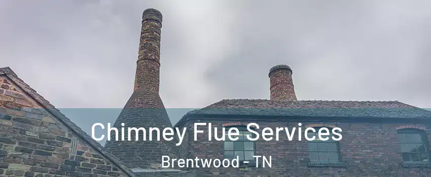  Chimney Flue Services Brentwood - TN