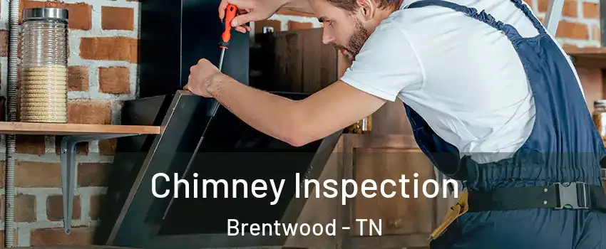  Chimney Inspection Brentwood - TN