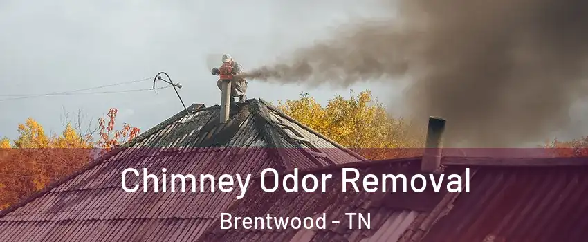  Chimney Odor Removal Brentwood - TN