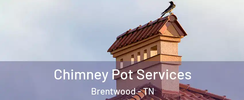  Chimney Pot Services Brentwood - TN