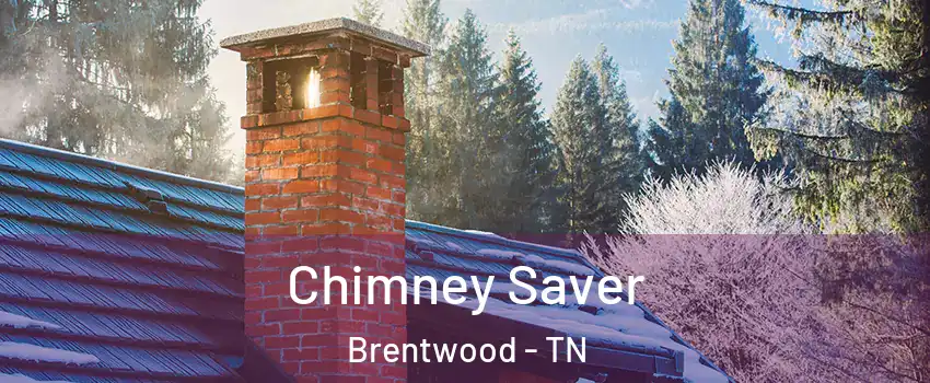  Chimney Saver Brentwood - TN