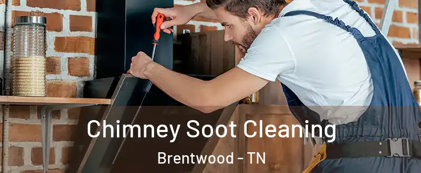  Chimney Soot Cleaning Brentwood - TN