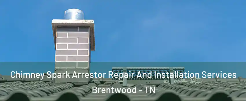  Chimney Spark Arrestor Repair And Installation Services Brentwood - TN