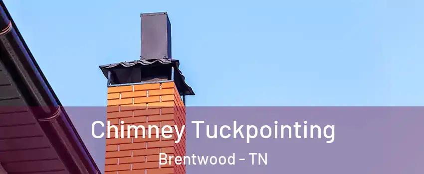  Chimney Tuckpointing Brentwood - TN