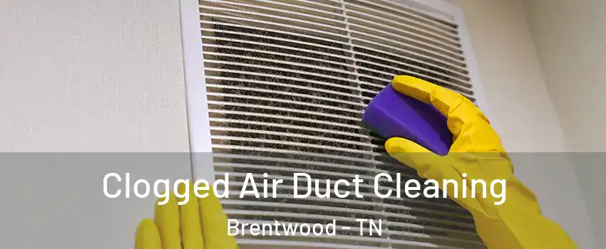  Clogged Air Duct Cleaning Brentwood - TN