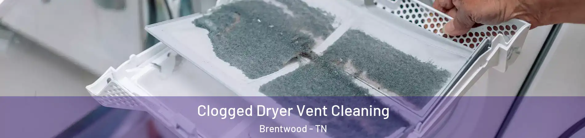  Clogged Dryer Vent Cleaning Brentwood - TN