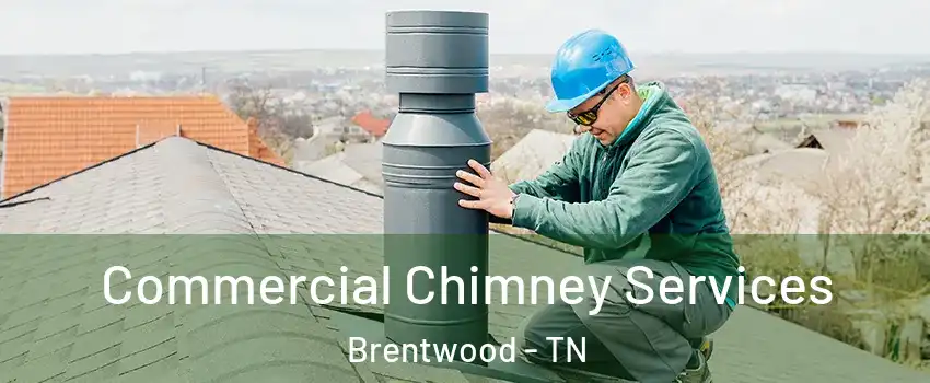  Commercial Chimney Services Brentwood - TN