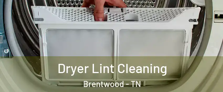  Dryer Lint Cleaning Brentwood - TN
