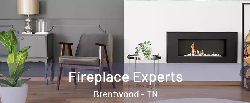  Fireplace Experts Brentwood - TN