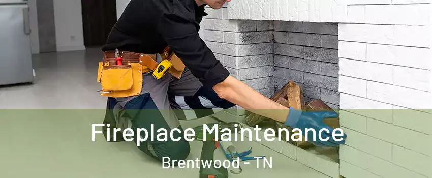  Fireplace Maintenance Brentwood - TN