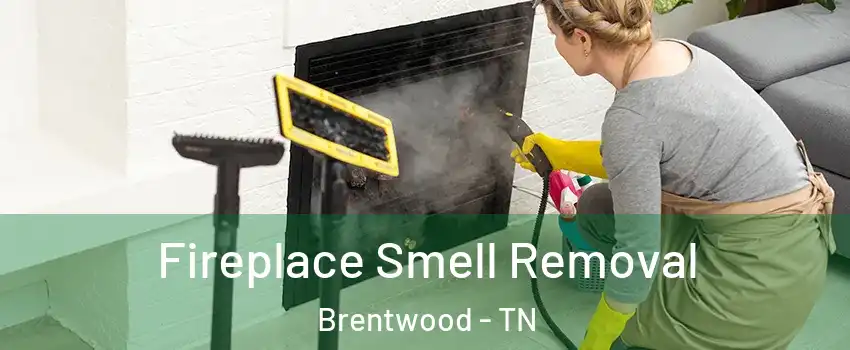  Fireplace Smell Removal Brentwood - TN