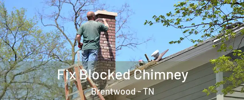  Fix Blocked Chimney Brentwood - TN