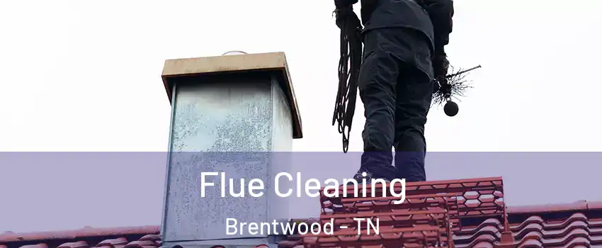  Flue Cleaning Brentwood - TN