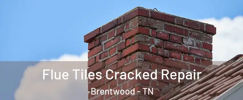  Flue Tiles Cracked Repair Brentwood - TN