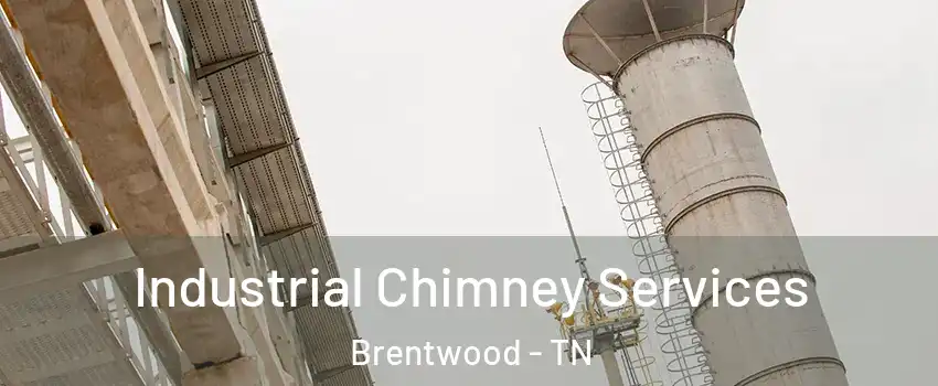  Industrial Chimney Services Brentwood - TN