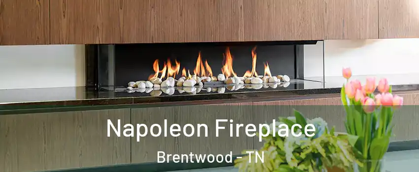  Napoleon Fireplace Brentwood - TN